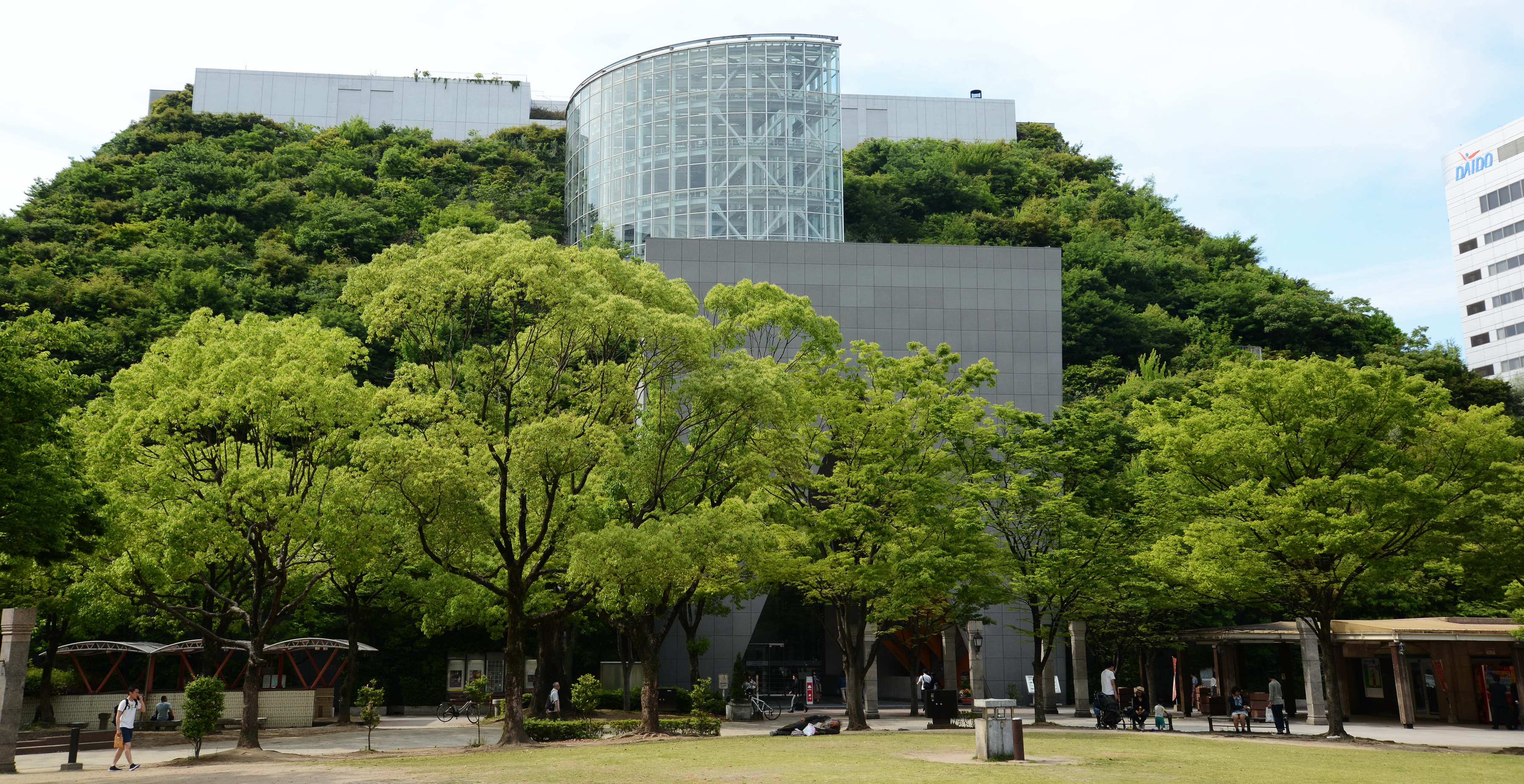 DSC_6997.1_resize_exposure