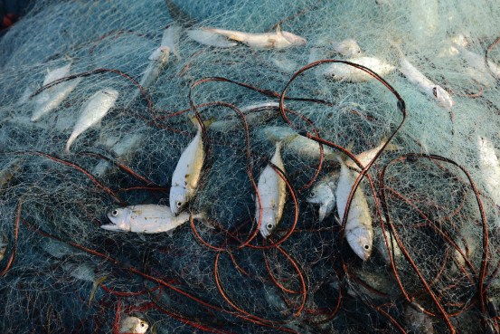 pakbara 125_exposure_resize