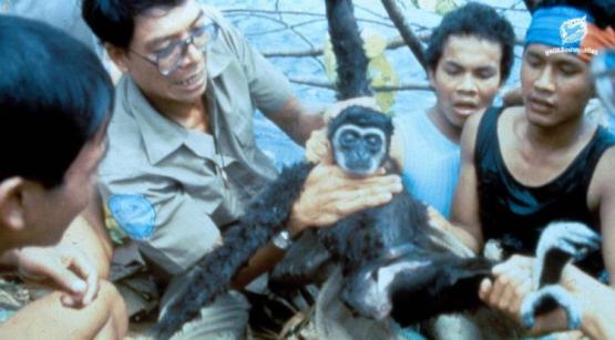 de8b317df94ca355c1944036dd68d5c859cb7128ffa4767e43a4a2e5b3688fe3