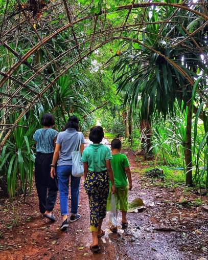 42421135_10155807350917361_9201068589514227712_n