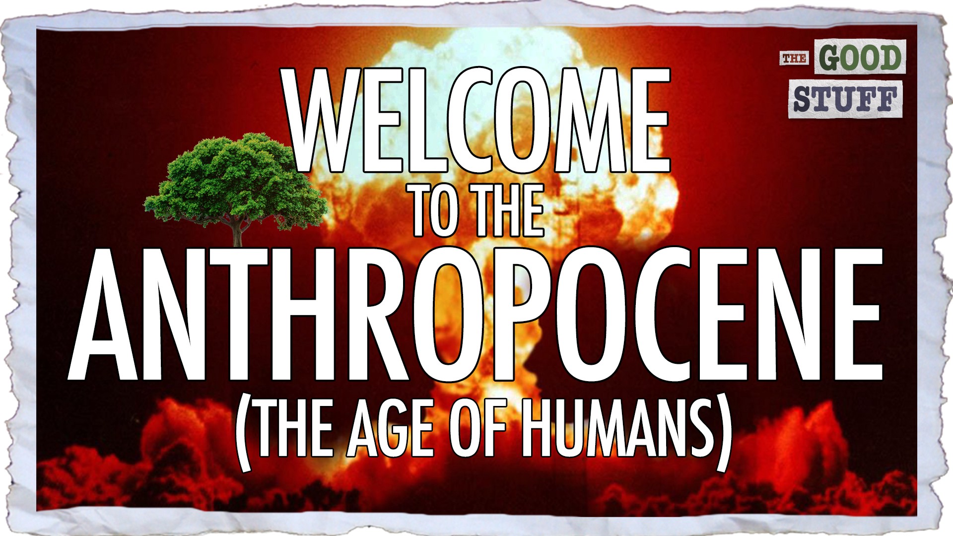 1_mvsiiURi-ilFL-gYS9rvNg