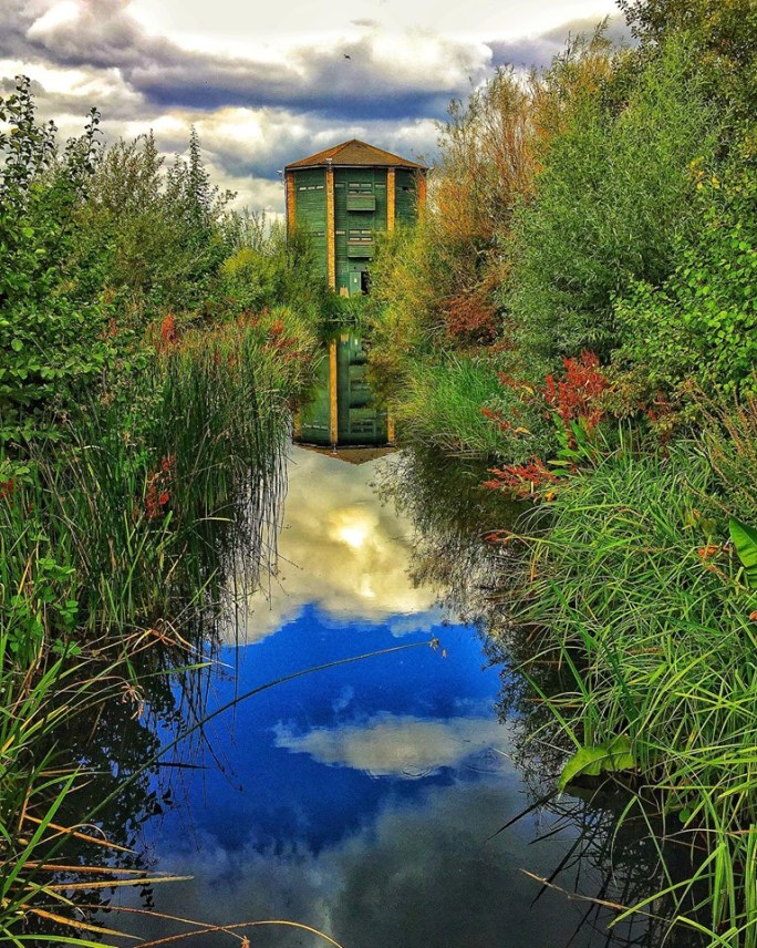 69884721_10156582868292361_5401407208535621632_n